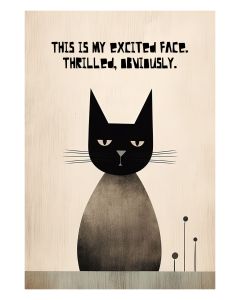 Humorous black cat with a sarcastic expression and text