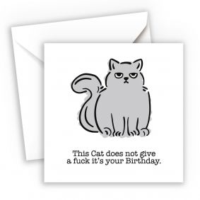Cat Doesnt Give A Fuck Funny Birthday Card