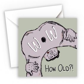 Wow How Old Arsehole Funny Birthday Card