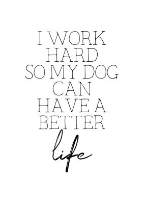 An unframed print of i work hard dog funny slogans in typography in white and black accent colour
