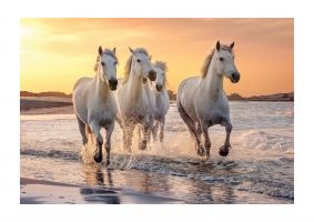 An unframed print of white horses on a beach camargue france photograph in beige and white accent colour