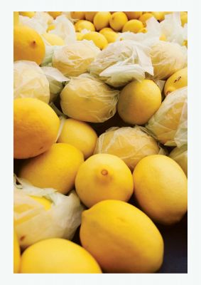 An unframed print of lemons botanical photograph in yellow and white accent colour