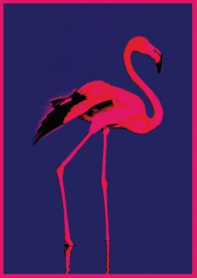 An unframed print of pink flamingo illustration in blue and pink accent colour