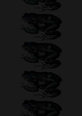 An unframed print of vintage black toad graphical illustration in black