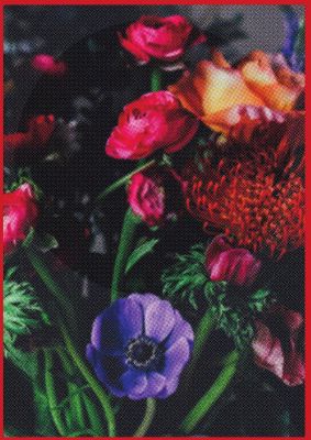 An unframed print of halftone flower red botanical photograph in multicolour and purple accent colour