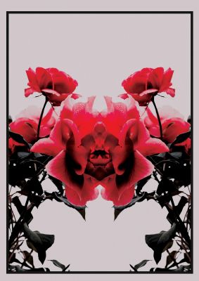 An unframed print of symmetrical flower one nature photograph in pink and black accent colour