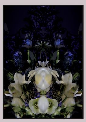 An unframed print of symmetrical flower two nature photograph in multicolour and black accent colour