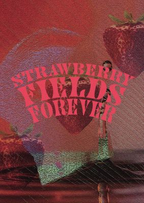 An unframed print of lofi strawberry fields forever beatles lyric music in typography in red and green accent colour
