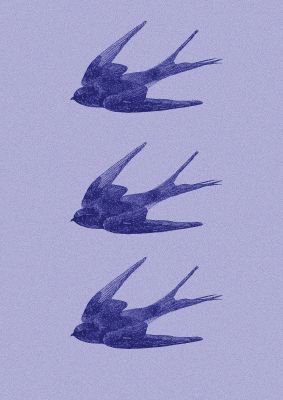 An unframed print of illustrated dotwork sparrow blue illustration in lilac and purple accent colour
