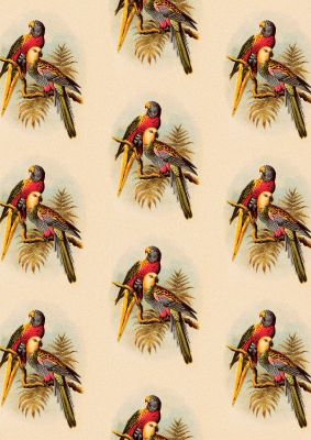 An unframed print of vintage style tropical parrot pattern illustration in beige and multicolour accent colour