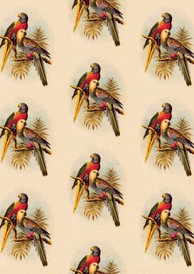 An unframed print of vintage style tropical parrot pattern illustration in beige and multicolour accent colour