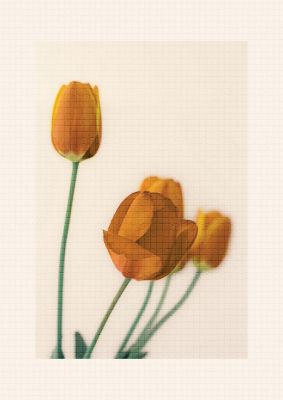 An unframed print of mosaic flower two botanical photograph in beige and yellow accent colour