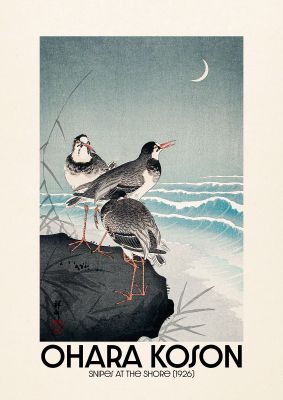 An unframed print of ohara koson snipes at the shore 1926 a famous paintings illustration in beige and blue accent colour