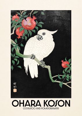An unframed print of ohara koson cockatoo pomegranate a famous paintings illustration in black and green accent colour