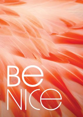 An unframed print of be nice graphical photograph in orange and white accent colour