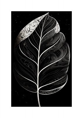 Rubber Plant Leaf in Black and White