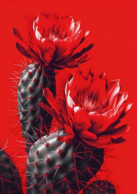 Minimalistic Cactus on Bold Red