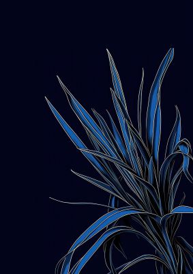 Spider Plant Leaf on Royal Blue