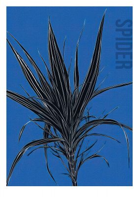 Detailed Spider Plant in Blue