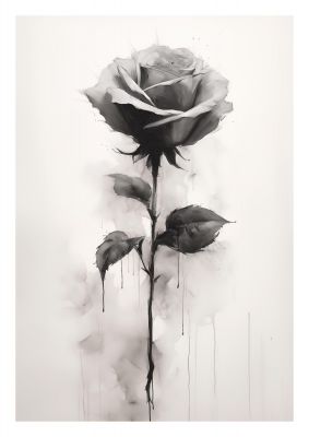 Textured Black and White Rose Impression