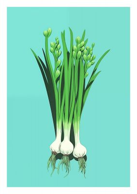 Spring Onions in Minimalist Art