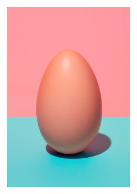 Simple Fresh Egg 2D Print