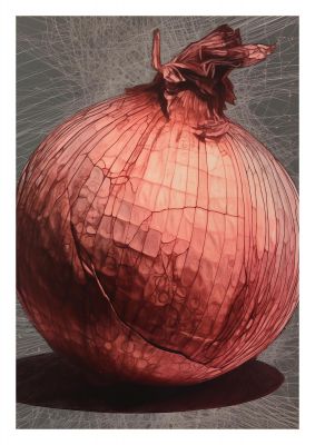 Layered Onion Structure Minimal Art