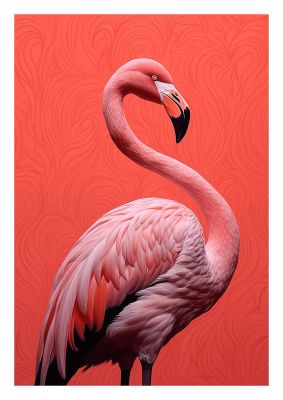 Flamingo in Black and White on Coral