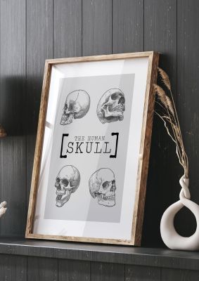 An unframed print of the human skull retro illustration in grey and black accent colour