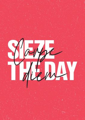 An unframed print of carpe diem quote in typography in pink and white accent colour