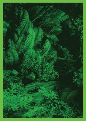 An unframed print of deep green tropical jungle plants nature photograph in green and black accent colour