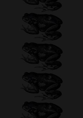 An unframed print of vintage black toad graphical illustration in black
