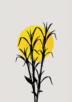 An unframed print of watercolour sun plant botanical illustration in beige and yellow accent colour