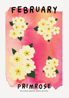 An unframed print of birth month flower series february botanical illustration in orange and yellow accent colour