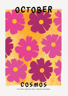 An unframed print of birth month flower series october botanical illustration in pink and yellow accent colour