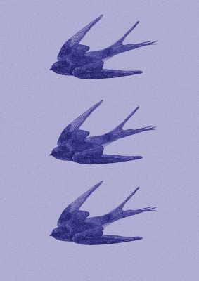 An unframed print of illustrated dotwork sparrow blue illustration in lilac and purple accent colour