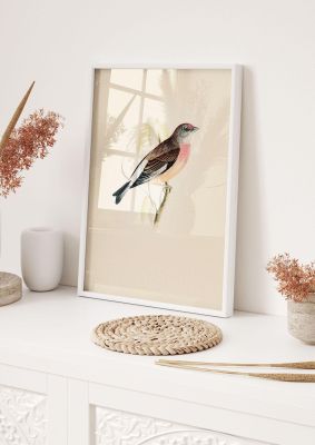 An unframed print of vintage bird illustration in beige and brown accent colour