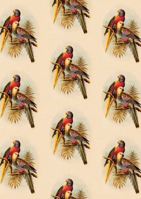 An unframed print of vintage style tropical parrot pattern illustration in beige and multicolour accent colour