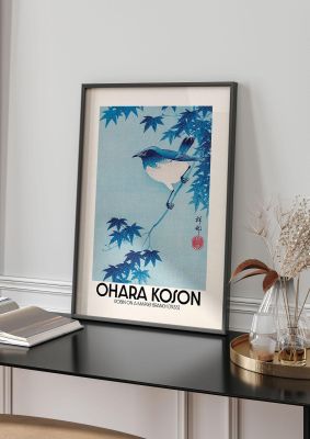 An unframed print of ohara koson robin on a maple branch 1935 a famous paintings illustration in blue and beige accent colour