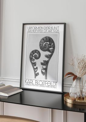 An unframed print of karl blossfeldt urformen der kunst 1928 aspidium filix mas shield fern fronds a famous illustration in monochrome