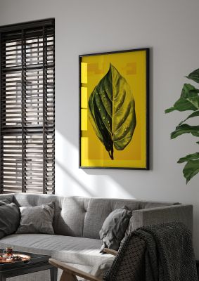 Canary Yellow Rubber Plant Leaf