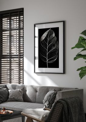 Rubber Plant Leaf in Black and White