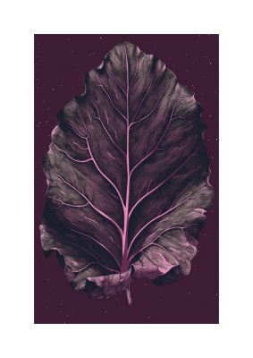 Fiddle Leaf Fig Leaf on Plum Backdrop