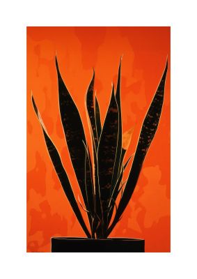 Snake Plants Silhouette on Orange