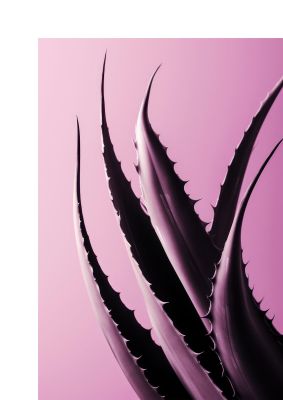Aloe Vera Leaf in Sleek Black Line