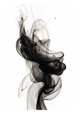 Serene Minimalist Black and White Art