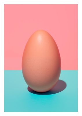 Simple Fresh Egg 2D Print