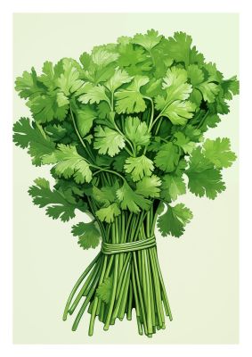 Cilantros Delicate Stems Graphic Riso