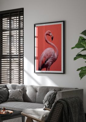 Flamingo in Black and White on Coral