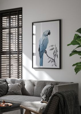 Elegant light blue macaw parrot in monochrome style